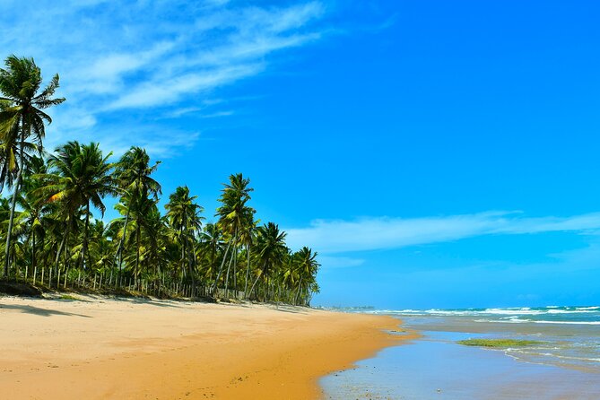 Coconut Coast Surf Adventure Vacation : Seven Days With a Pro - Stunning Salvador Da Bahia Scenery