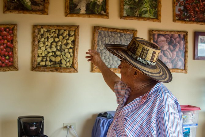 Coffee Farm Experience at Café De La Cima From Medellín
