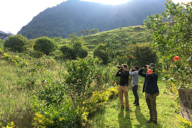 Coffee Lands Birdwatching Tour (Transport + Guiding)