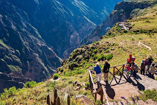 Colca Canyon 2 Days 1 Night, Spectacular - Overview of Colca Canyon Tour