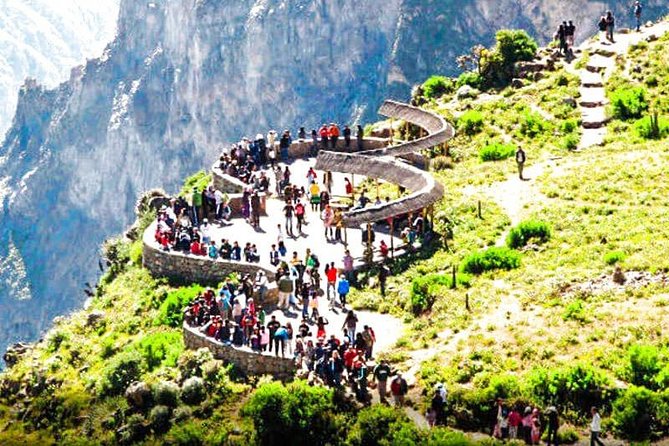 Colca Full Day