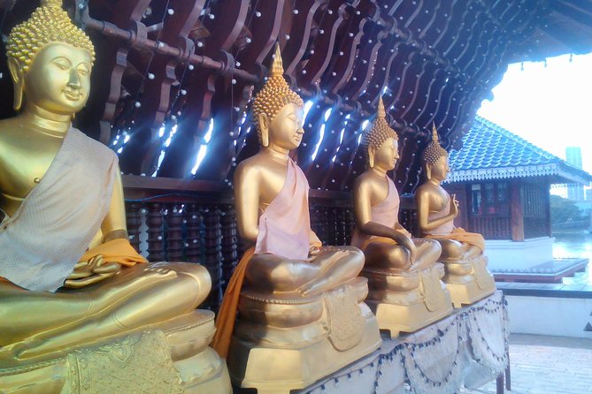 Colombo Walking Tour With Ayurvedic Learning - Tour Highlights