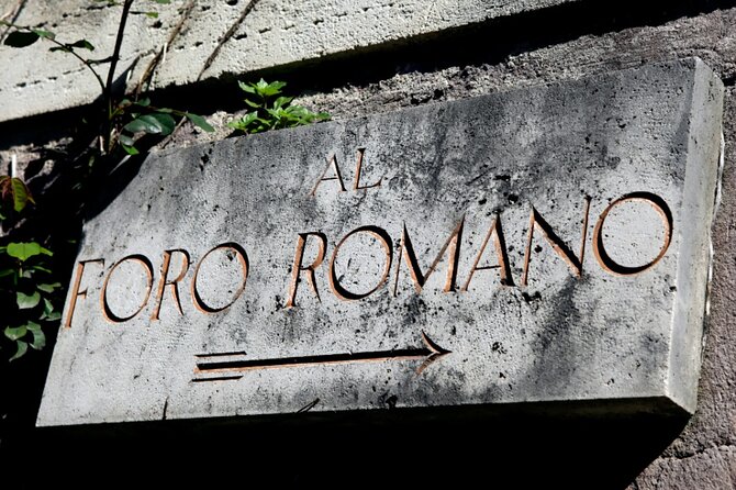 Colosseum: Priority Entry & Glass Elevator to Romes Summit - Tour Overview