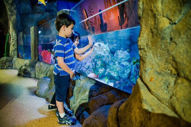 Combi Ticket: LEGOLAND Discovery Centre & SEA LIFE Oberhausen
