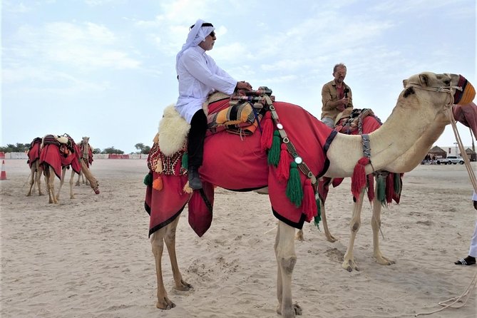 Combo Culture North Qatar and Desert Safari Tour