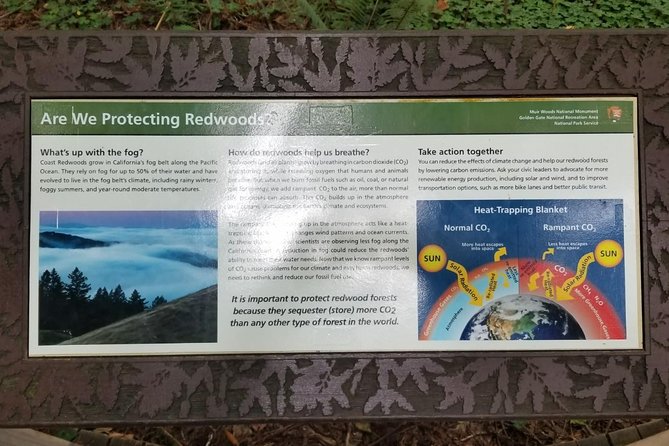 Combo Tour: Muir Woods, Sausalito and Sonoma Wine Country Tour