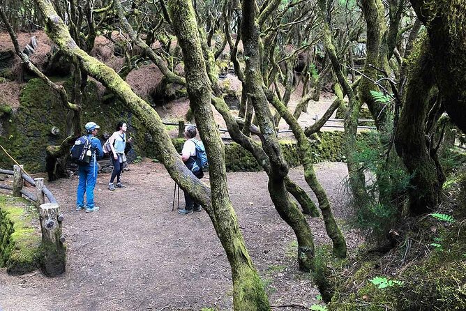 Come Discover the Island of El Hierro in a Small Group