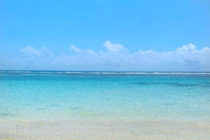 Cooking Class+Food&Drinks+Massage+Snorkel by La Chilangaloense