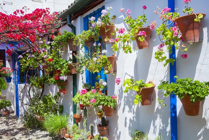 Cordobas Authentic Patios: 2-Hour Tour With Tickets - Tour Overview and Experience