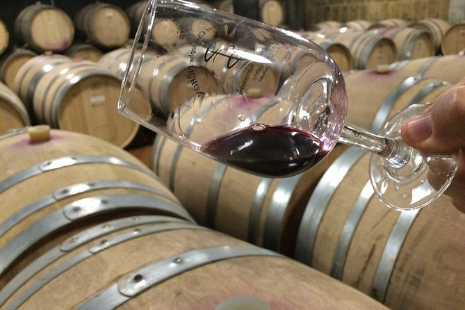 Cotes Du Rhone Wine Tour – Private Tour – Full Day From Lyon