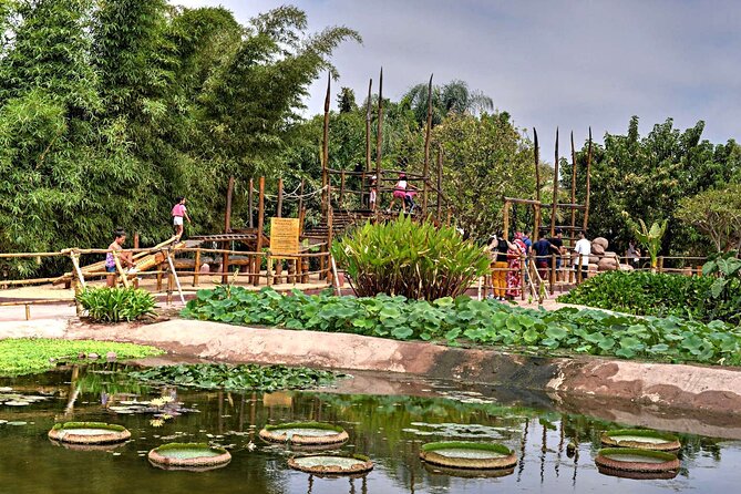 Crocoparc Tour From Agadir & Taghazout + Tickets