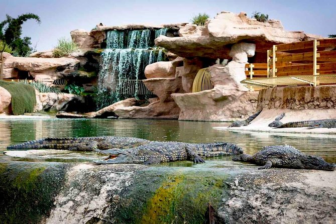 Crocopark Visit (Transport Included)