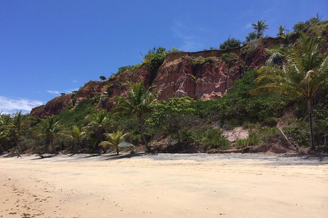 Crown Red – Discovery Coast – Day Trip From Porto Seguro