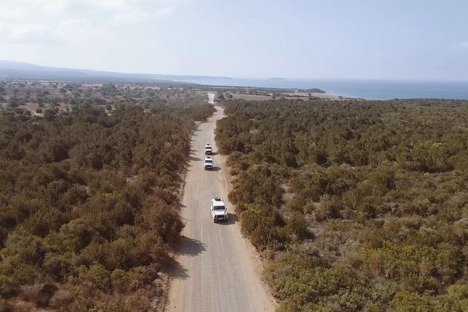 Cruise and 4X4 Safari Tour at Akamas Peninsula From Paphos