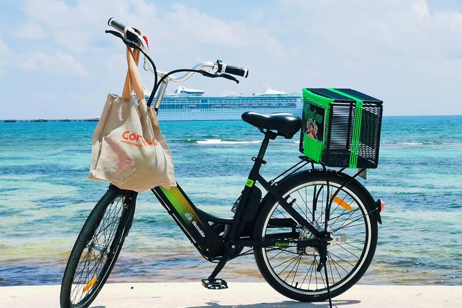 CRUISE GUEST Electric Bike
