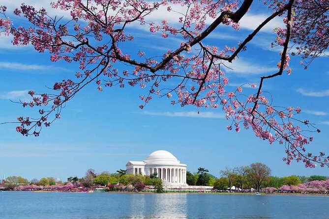 D.C. Cherry Blossoms: Escorted Bus Tour From Toronto