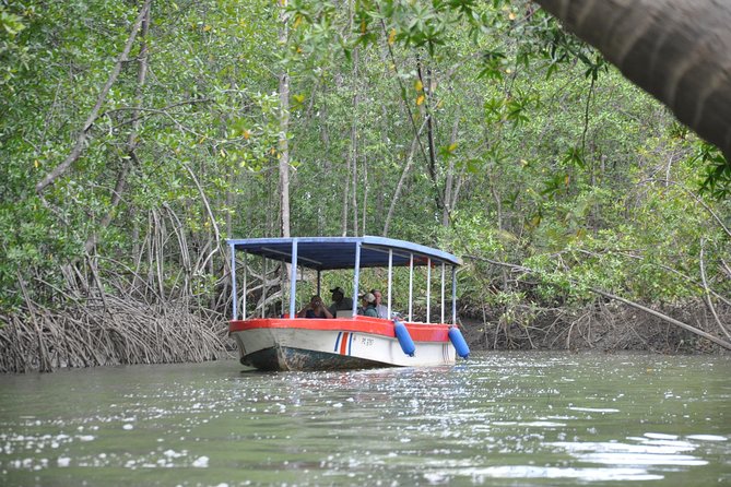 Damas Island by Boat Tour From Manuel Antonio