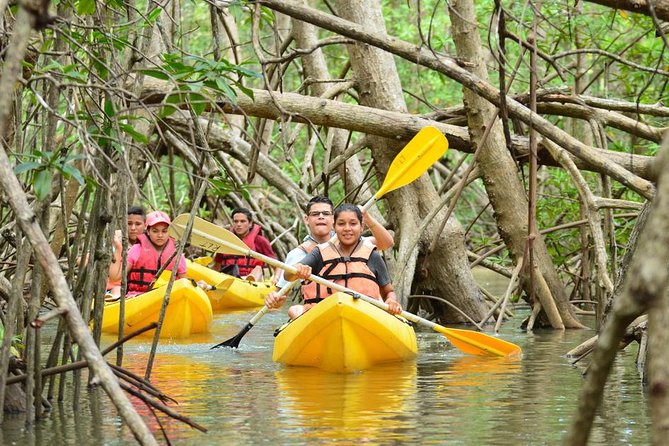 Damas Island Kayaking Tour From Manuel Antonio