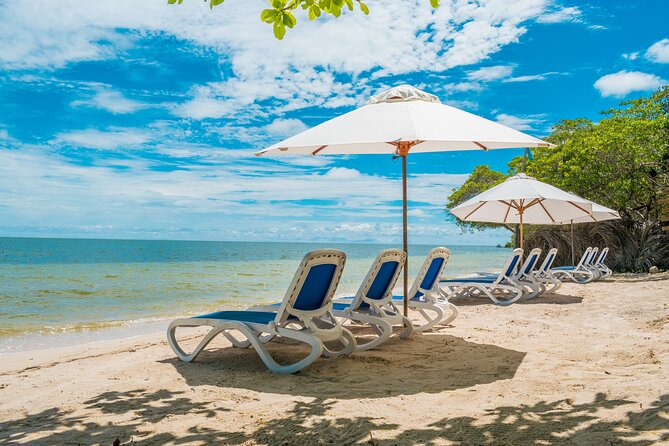 Day Tour Isla Del Encanto in Barú and Rosario Islands