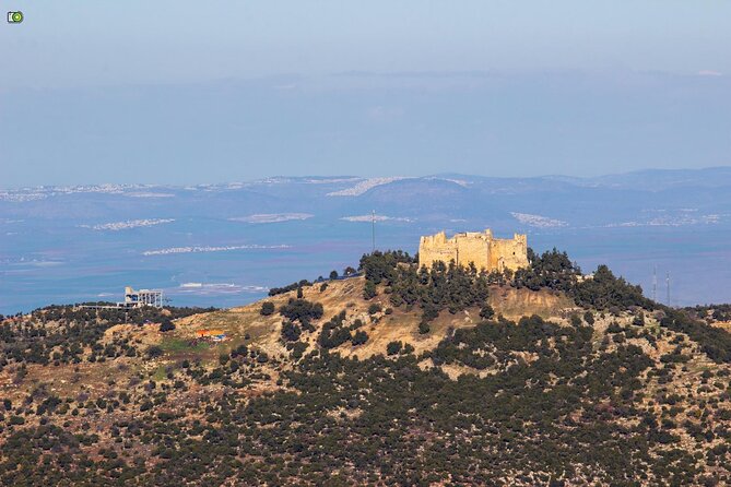 Day Tour Jerash, Ajloun and Umm Qais From Amman