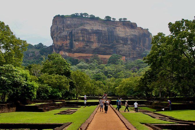Day Tour to Sigiriya Rock and Dambulla Temple From Trincomalee