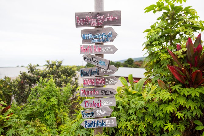 Day Trip From Oahu to Hilo: Active Volcanoes - Overview of the Day Trip
