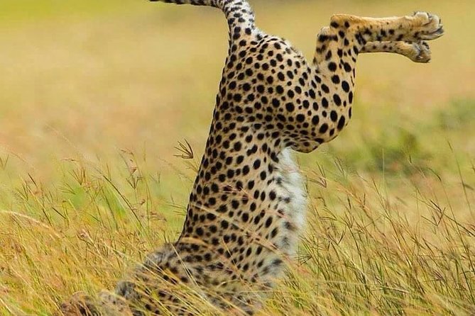 Day Trip Ngorongoro Crater