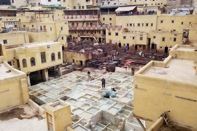 Day Trip to Fès - Highlights of the Day Trip