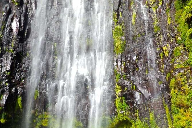 Day Trip to Materuni Waterfall, Coffee Tour and Moshi Nightlife - Coffee Plantation Tour