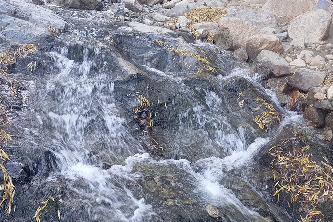 Day Trip to Ourika Valley From Marrakech - Overview of the Day Trip