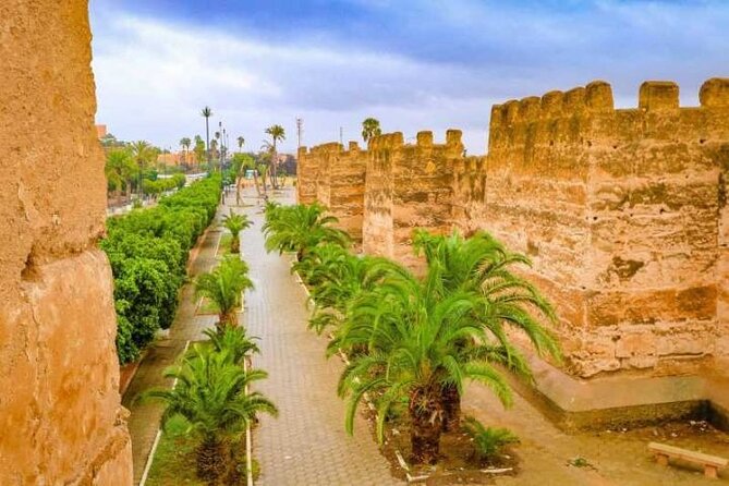 Day Trip to Taroudant and Tiout Oasis With Lunch From Agadir