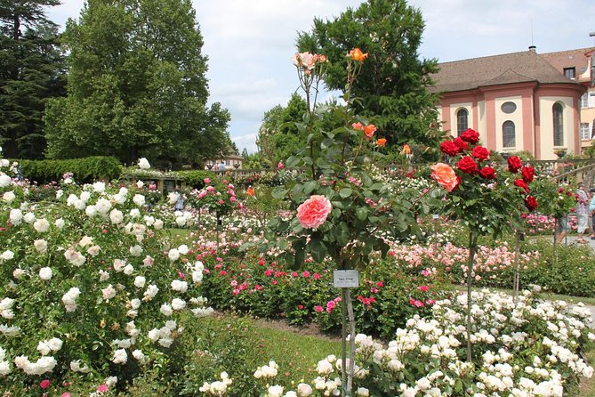 Day Trip to the Island of Mainau With Highlights on Lake Constance From / to Oberstaufen