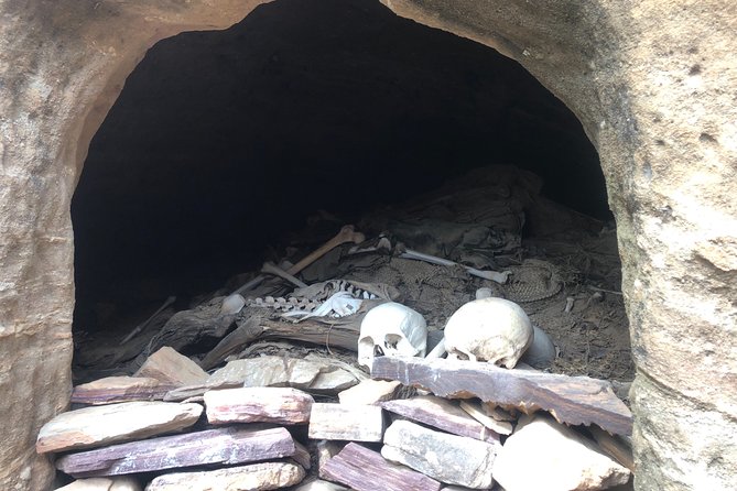 Day Trip to Tigray Churches