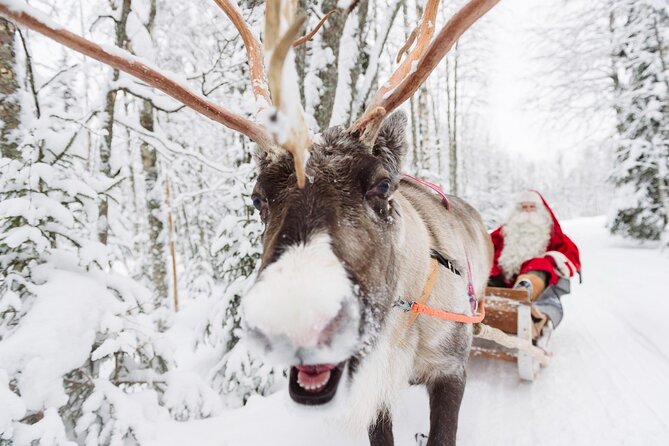 Daytour to Santa Claus Village, Reindeer and Husky Safaris, Photo, and Lunch - Details of Whats Included