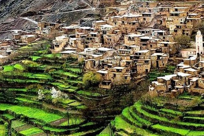 Desert Agafay and Atlas Mountains & Camel Ride Day Trip From Marrakech