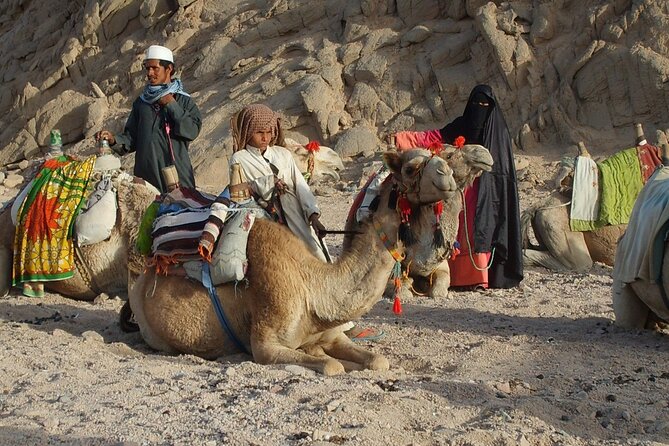 Desert Safari in Bedouin Village & Quad Biking Safari, Hurghada