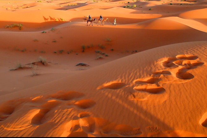 Desert Tour Ouarzazate CHEGAGA 2 Days/ 1 Night - Tour Overview