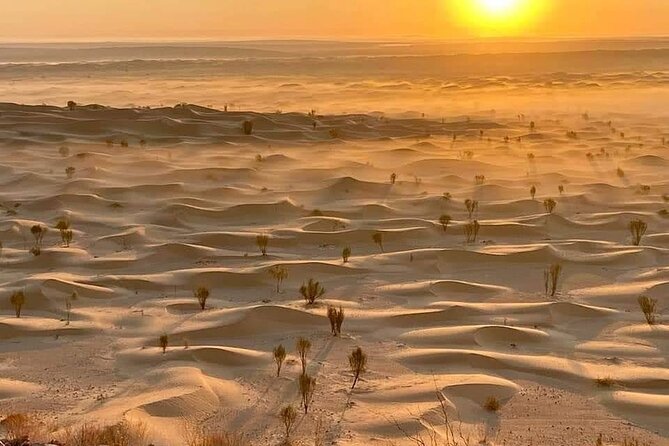 Desert Tours and Adventurous Camel Trekking Through the Sahara - Camel Trekking Through the Saharan Dunes