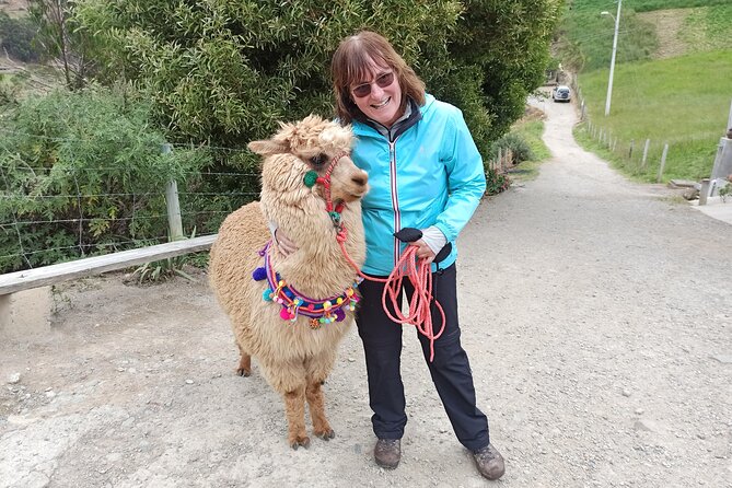 Devil’S Nose Hiking and Ingapirca Ruins From Cuenca