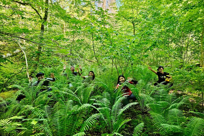 Discover Best Of Gauja National Park In One Day