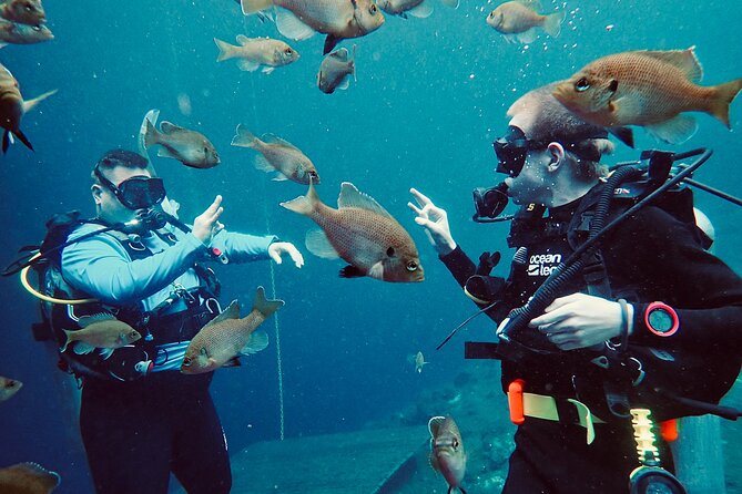 Discover Scuba Diving On The Beautiful Rainbow River