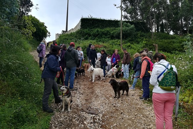 Discover Sintras Hidden Trails: A Unique Hiking Experience - Tour Duration and Pickup Service
