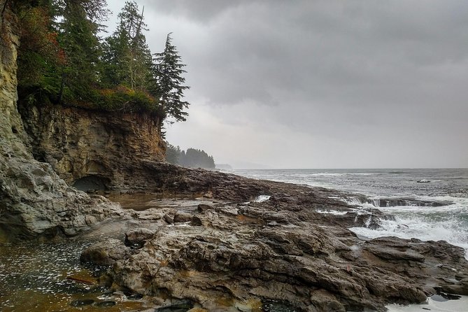 Discover Sooke to Port Renfrew Scenic Tour of Vancouver Islands