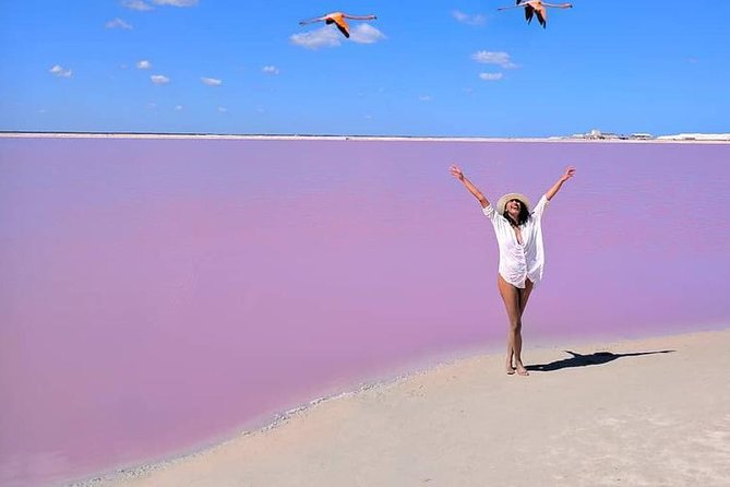 Discover the FABULOUS PINK WATERS in the Caribean (Las Coloradas+Río Lagartos)