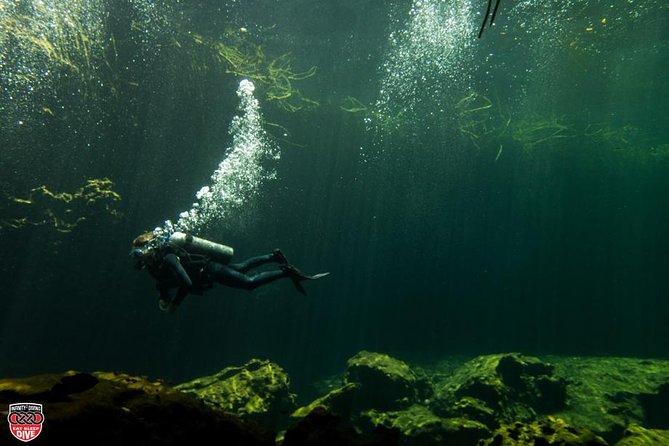 Discovery Scuba Diving - Overview and Ratings