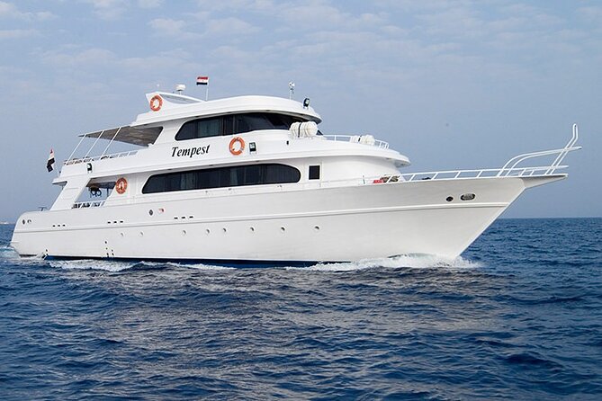 Diving And Snorkeling To Ras Mohamed And White Island By VIP Boat - Exploring Ras Mohameds Underwater Wonders