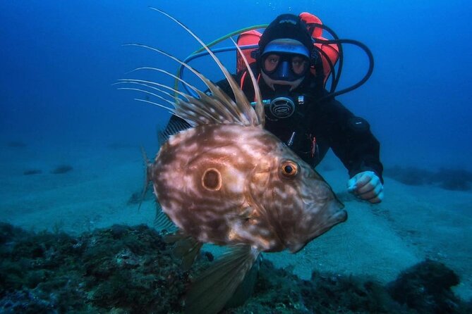 Diving Course With PADI Certification in Costa Brava