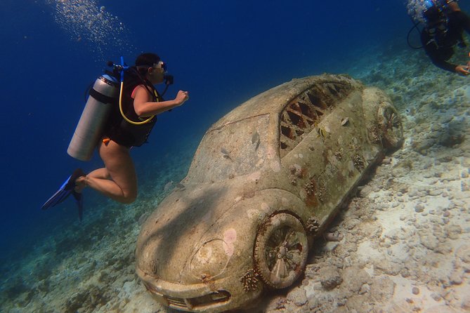 Diving in Cancun for Certified Divers | 2 Dives | All Inclusive - Diving Experience Overview
