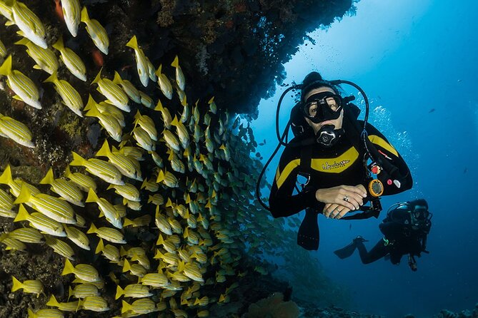 Diving or Snorkeling Boat Tour With Lunch and Drinks – Hurghada