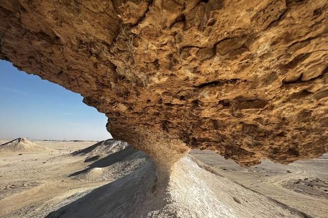 Doha Qatar Camel Race Track Visit| West Coast Natural Attractions